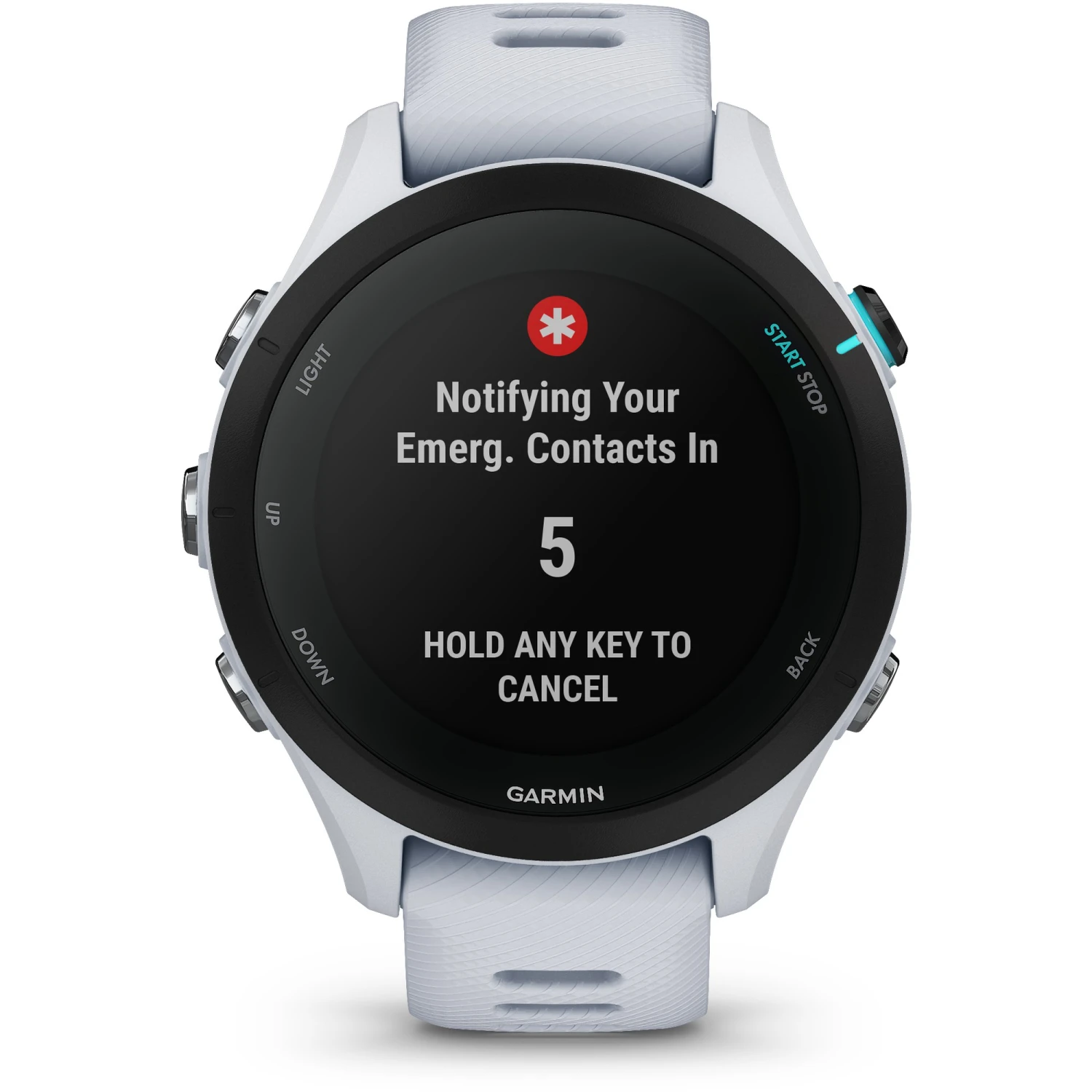 Garmin Forerunner 255Ms GPS Watch - Image 2