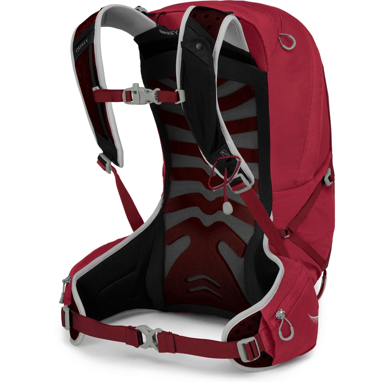Osprey Talon 22 Backpack - Image 10