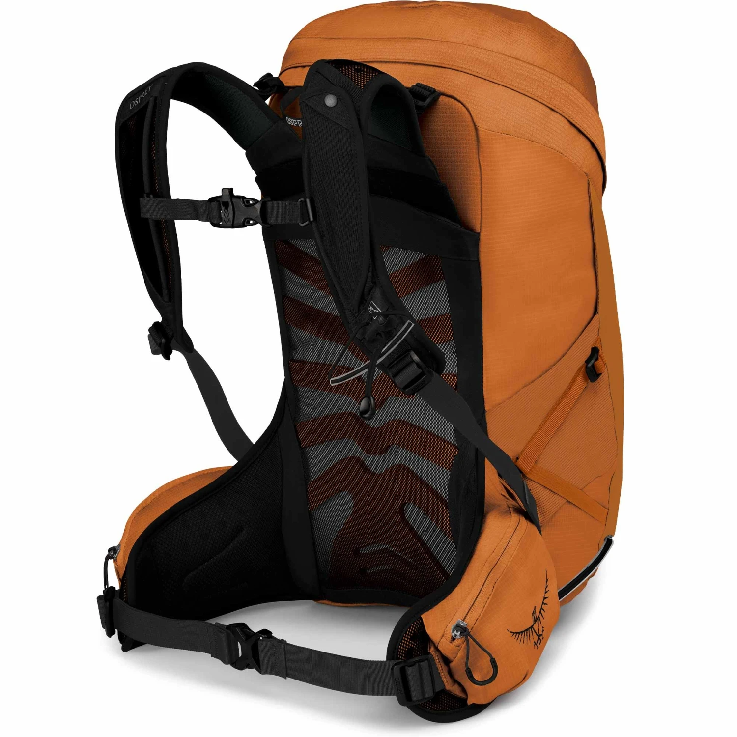 Osprey Temest 24 Womens Backpack - Image 2